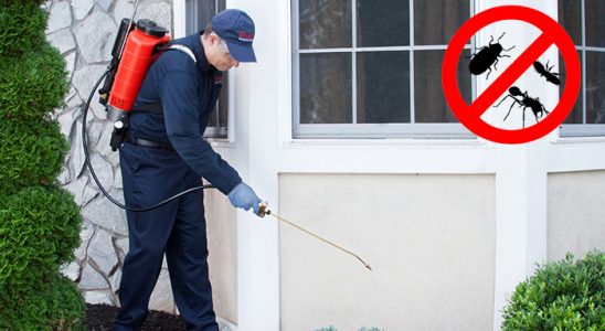 Bozkurt Dezenfeksiyon böcek ilaçlama ve haşere kontrolü — ilaclama-tr.com